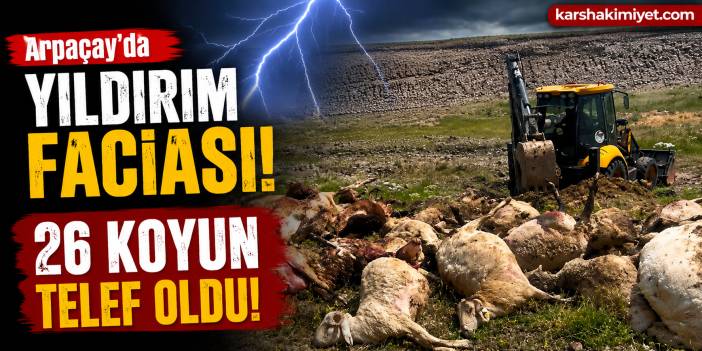 Arpaçay'da Yıldırım Faciası: 26 Koyun Telef Oldu