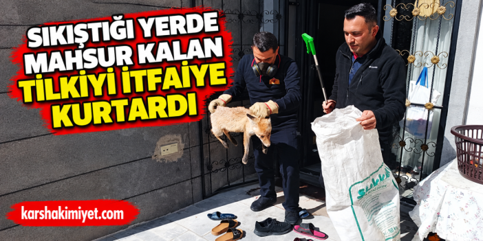 Sıkıştığı Yerde Mahsur Kalan Tilkiyi İtfaiye Kurtardı