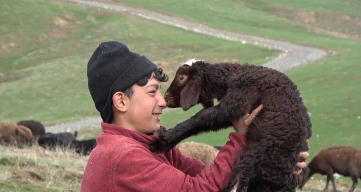 Annesinin reddettiği kuzuya küçük çoban sahip çıktı