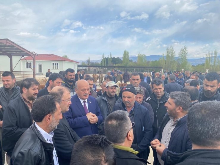 Erzincan canlı hayvan pazarı yeniden açıldı