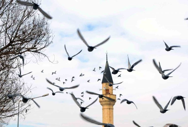 Erzurum’da bin 601 cami bulunuyor