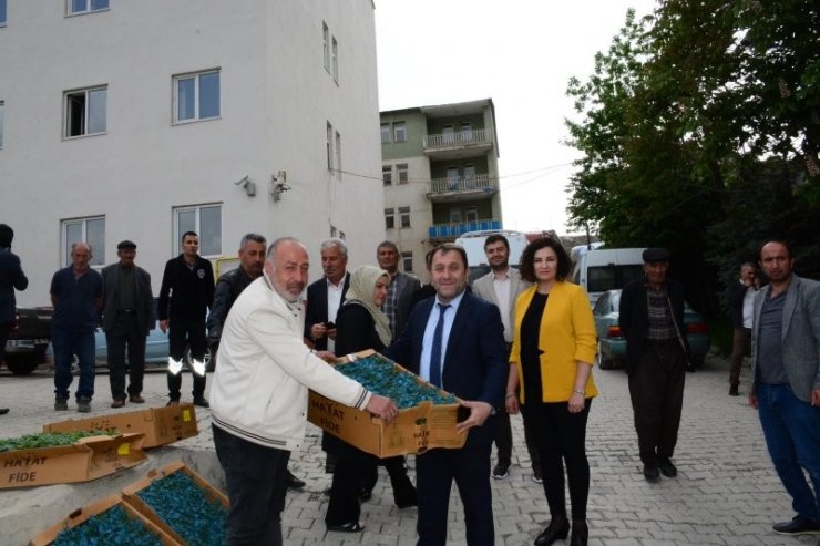 Hakkari’de çiftçilere karpuz ve domates fidesi dağıtıldı