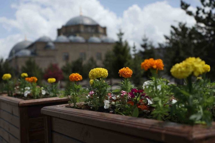 Kars Belediyesi’nden çevre düzenlemesi