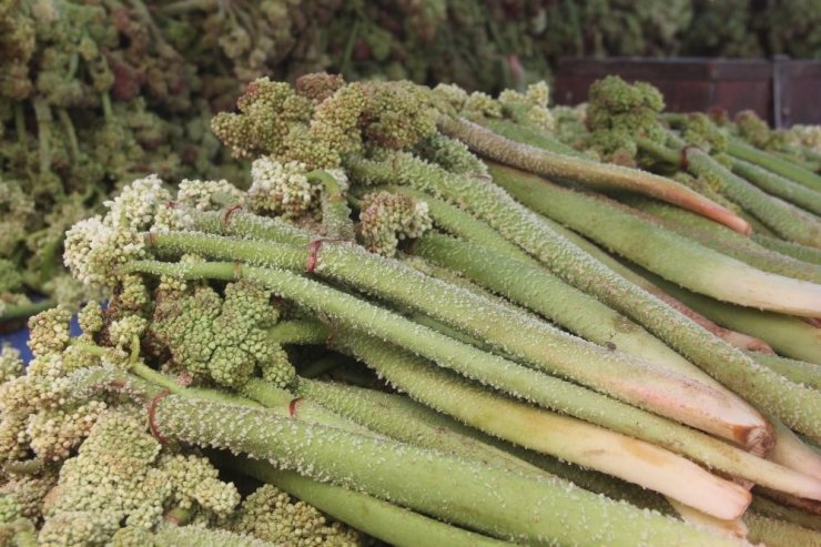 “Yayla Muzu” tezgâhlardaki yerini aldı