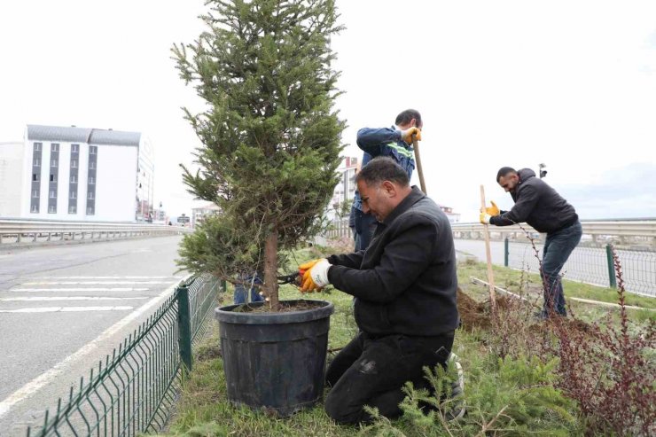 Kars’ta refüjler yeşilleniyor