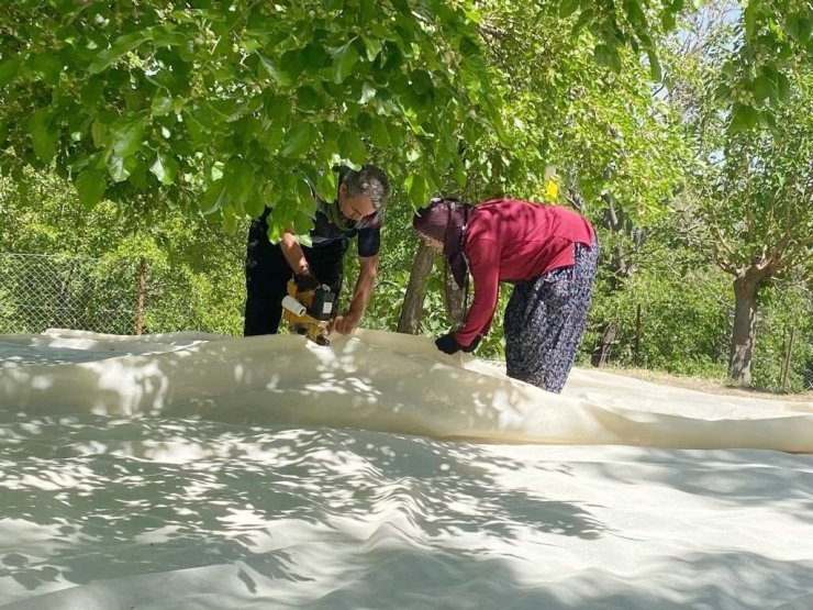 Tunceli’de dut üreticileri dayanışma içerisinde bahçelerini sezona hazırlıyor