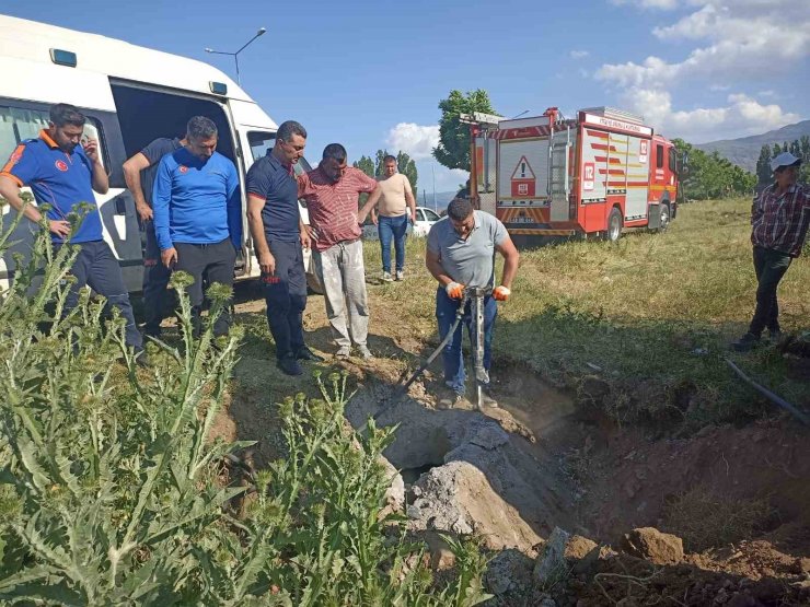 Muş’ta kapağı çalınan menhole düşen inek 2 saatlik çalışma sonucu kurtarıldı