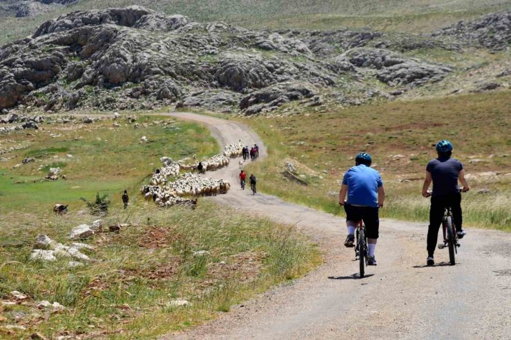 44. Uluslararası Kemaliye Kültür ve Doğa Sporları Şenliği 23 Haziran’da başlıyor