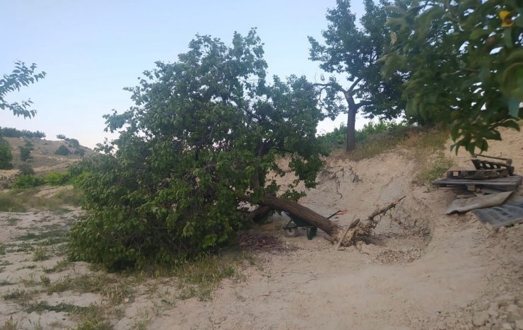 Elazığ’da fırtına ağaçları kökünden söktü