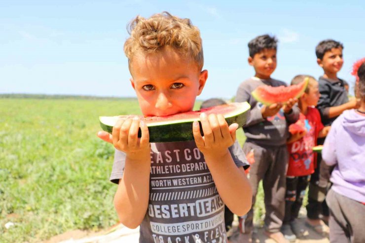 Bunaltıcı sıcaklar vatandaşı sulu meyvelere yönlendirdi