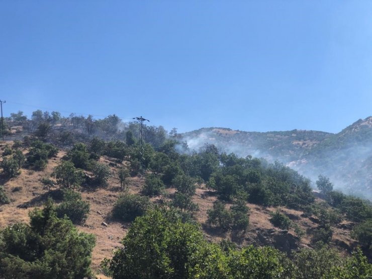 Bingöl’de ormanlık alanda korkutan yangın