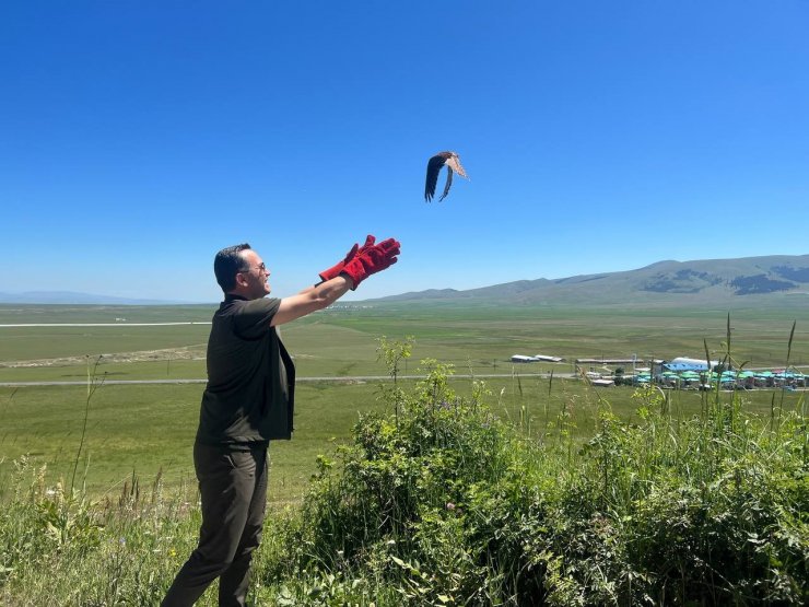 Kars’ta tedavileri tamamlanan kerkenezler doğaya bırakıldı