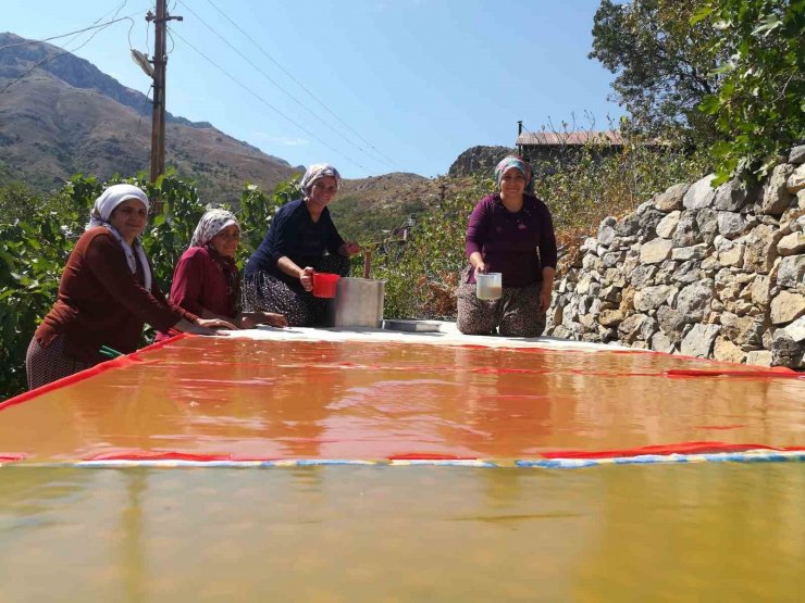 Dutun önemli geçim kaynağı olduğu Kemaliye’de kadınların zorlu pestil ve pekmez yapımı imece usulü ile eğlenceli hale geliyor