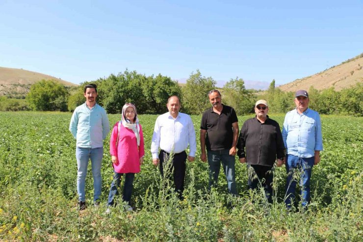 Erzincan’da patates projesi başarıyla uygulanıyor