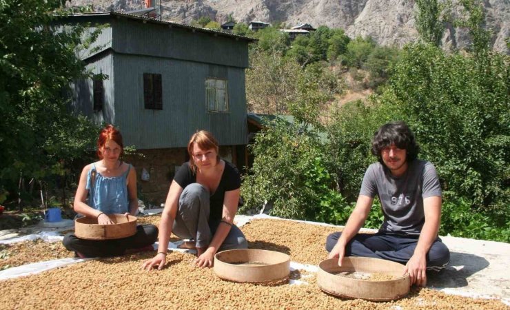 Çiftlikte çalışarak tatil