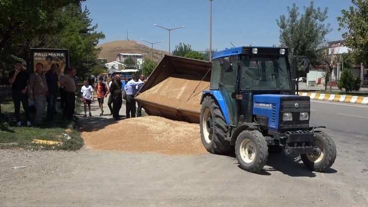 Muş’ta buğday yüklü römork devrildi