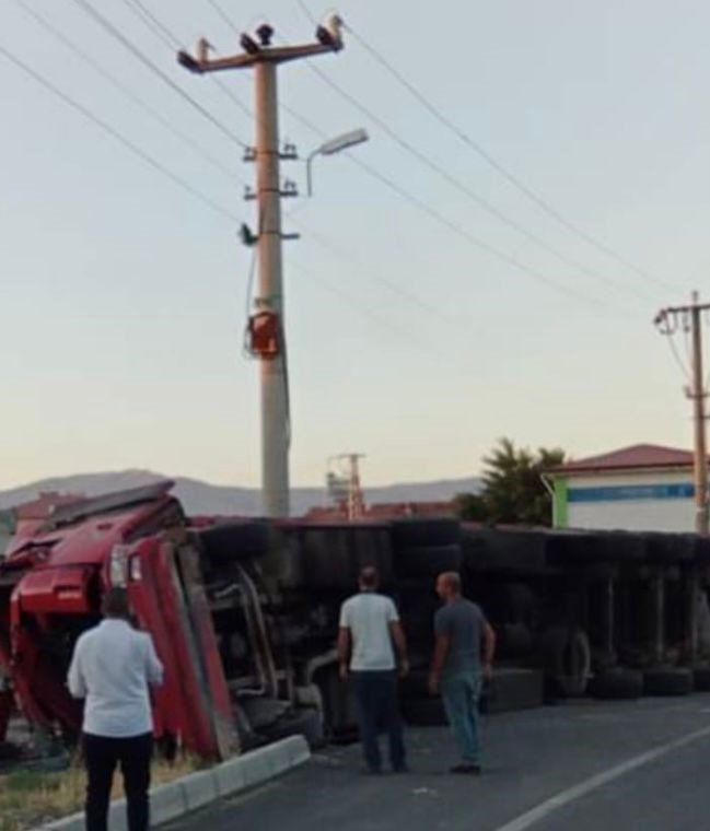 Elazığ’da büyükbaş hayvan taşıyan kamyon devrildi, 11 hayvan telef oldu