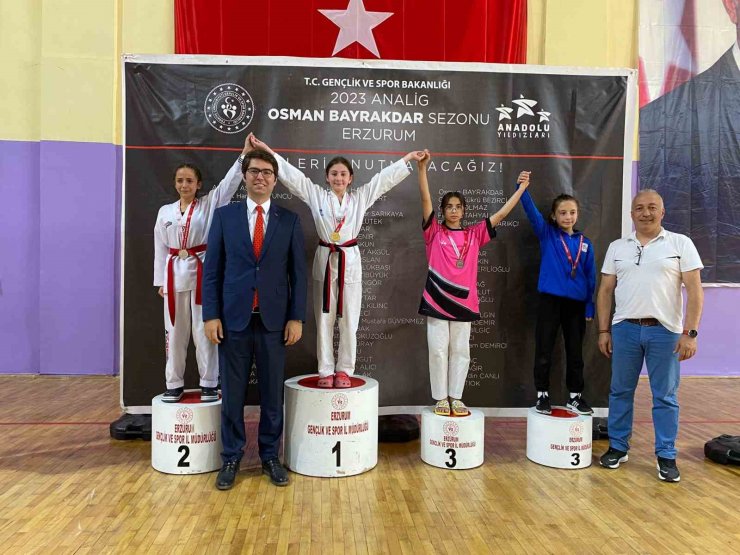 Aşkale’de Taekwondo Analig grup müsabakaları başladı