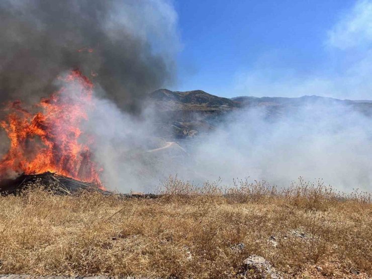 Sigara izmariti otluk alanı tutuşturdu