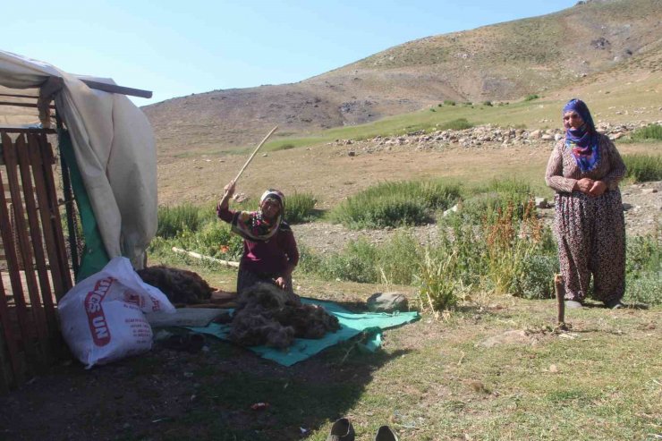 2 bin 500 rakımda ekmek mücadelesi