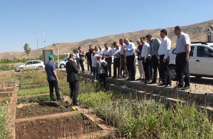 Muş’ta tıbbi ve aromatik bitkiler tanıtıldı