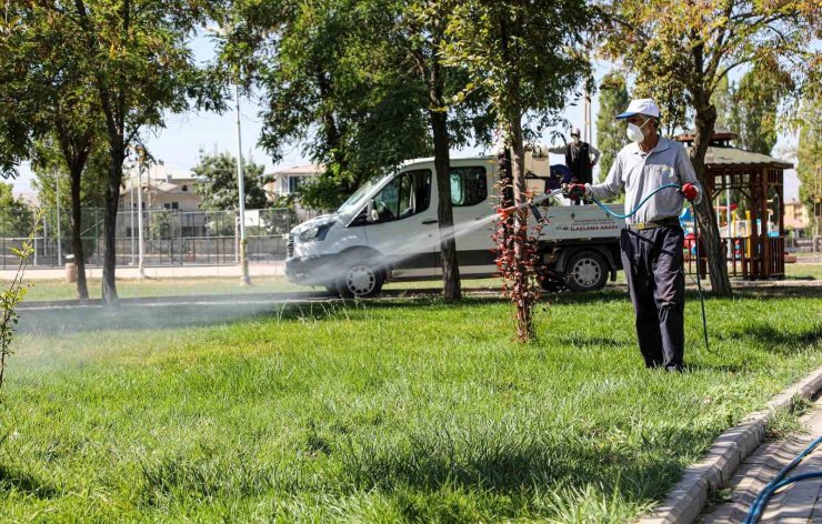 Van’da kent zararlılarına karşı ilaçlama çalışması