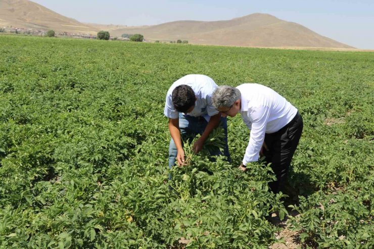 Ağrı’da patates üreticilerine destek