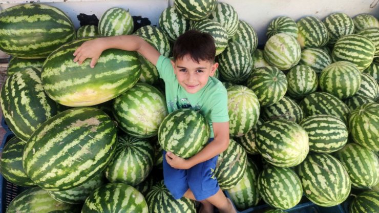 ’Hıdıroz’ karpuzu tezgahlardaki yerini aldı