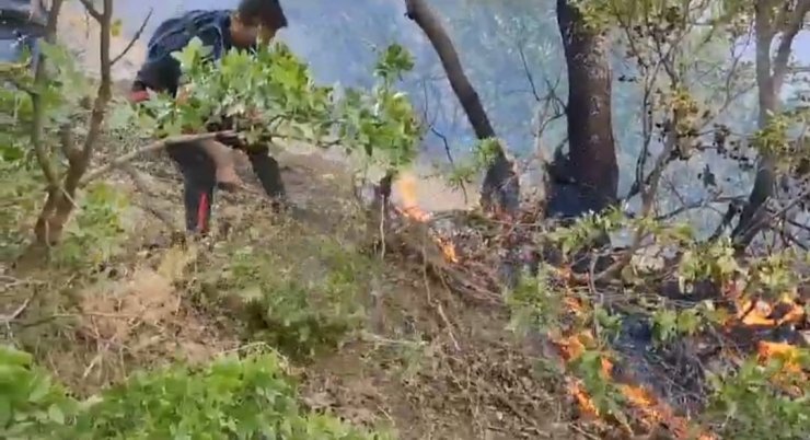 Hakkari’deki orman yangını kısmen kontrol altına alındı