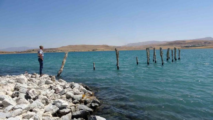 Van Gölü’nde Cumhuriyet döneminde kullanılan iskele ortaya çıktı