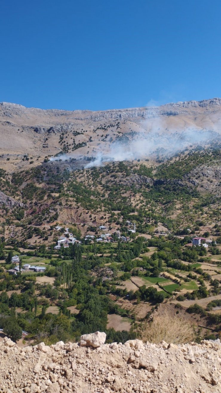 Malatya’da orman yangını, 1 yaralı