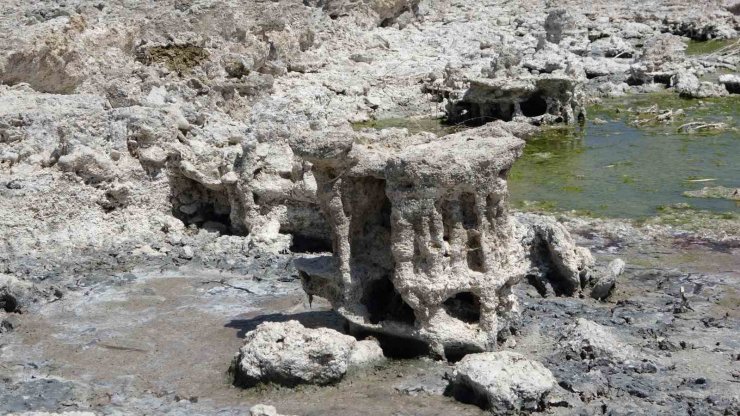 Van Gölü’nde sular çekilince yeni mikrobiyalitler ortaya çıktı