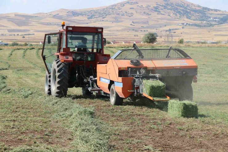 Elazığ’da balyalama mesaisi başladı