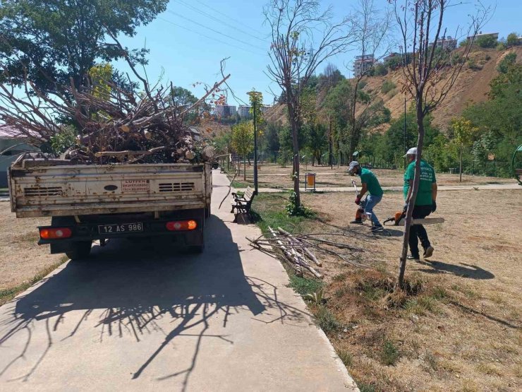 Bingöl Belediyesi, park ve bahçelerde bakım onarım çalışması başlattı