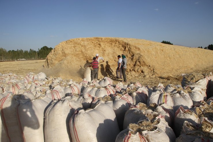 Malazgirt’te saman satışı başladı