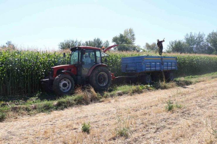 Elazığ’da silajlık mısır hasat etkinliği düzenlendi