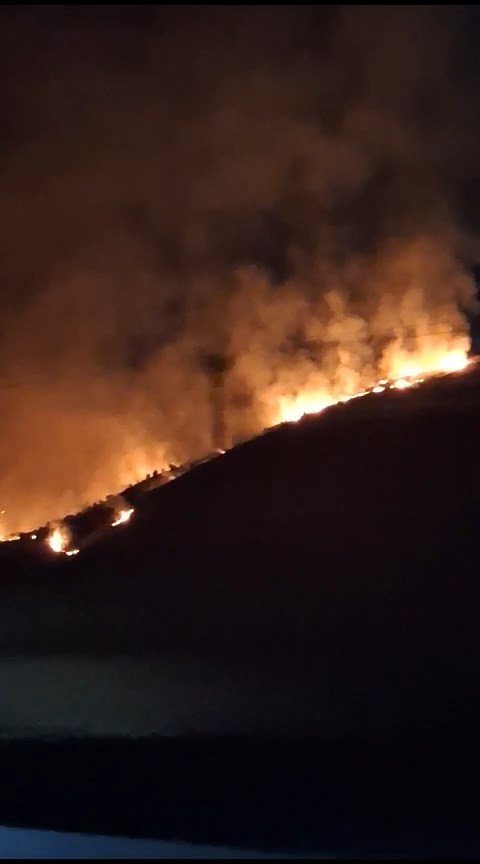 Elazığ’da arazi yangını