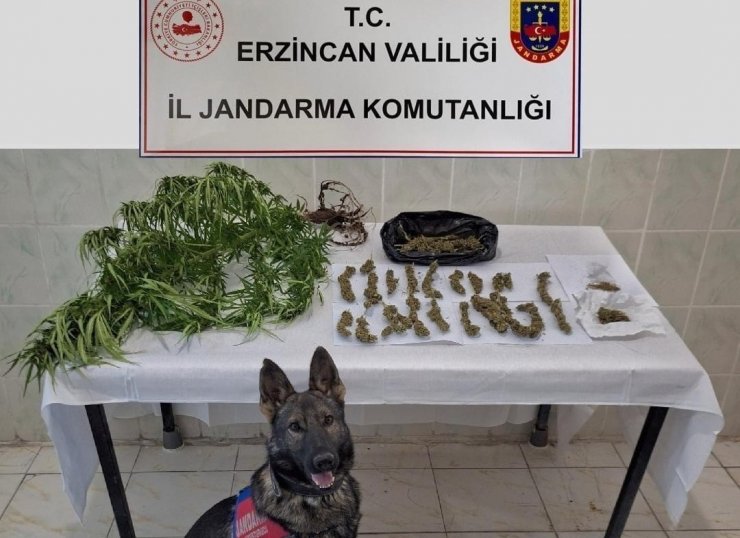 Erzincan’da jandarma ekipleri suça geçit vermiyor