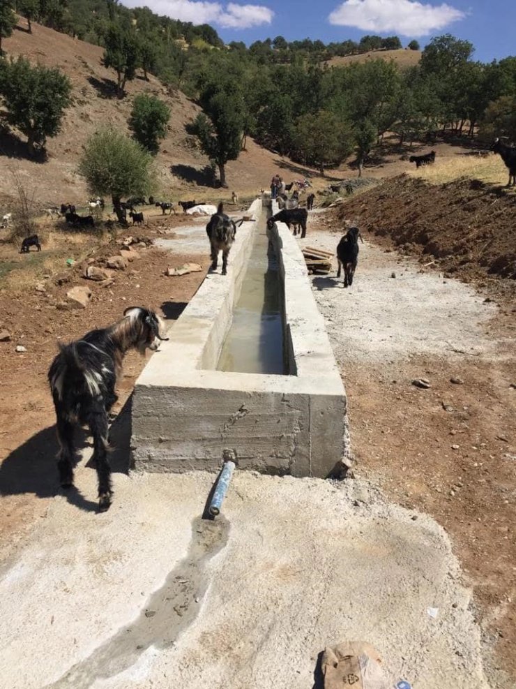 Hizan’da hayvanlar için sıvat kurulumu yapıldı