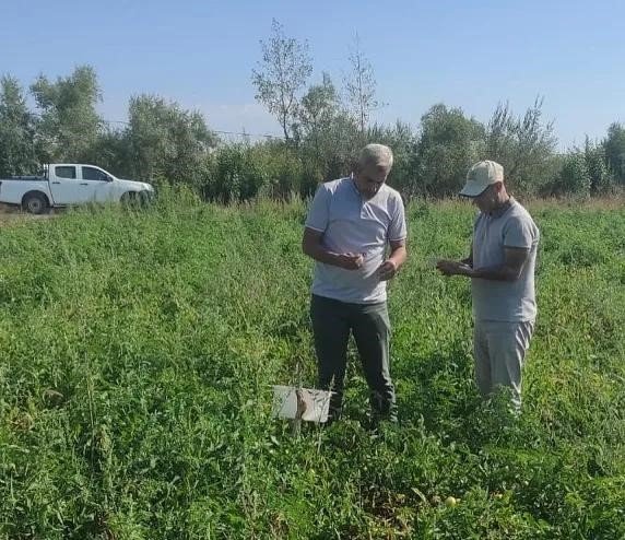 Tatvanlı çiftçilere “Feromon Tuzağı” desteği