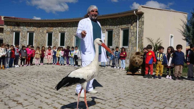 Minik öğrenciler yaban hayvanlarını yakından gördü