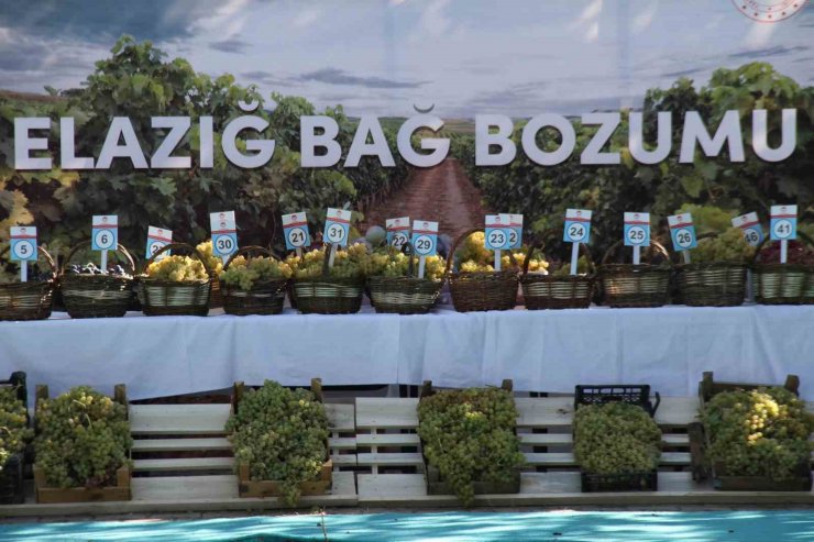 Elazığ’da 17’nci Bağ Bozumu Festivali gerçekleştirildi