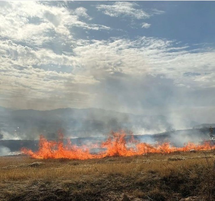 Elazığ’da korkutan anız yangını