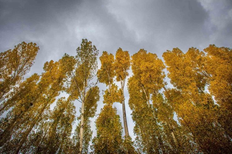 Erzincan’da hazan mevsimi güzelliği