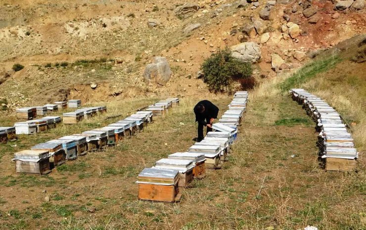 Van Arıcılar Birliği Yönetim Kurulu Üyesi Tandoğan: "Van balı, kesinlikle hak ettiği yerde değildir"