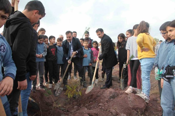 Ahlat’ta 2023 fidan dikildi