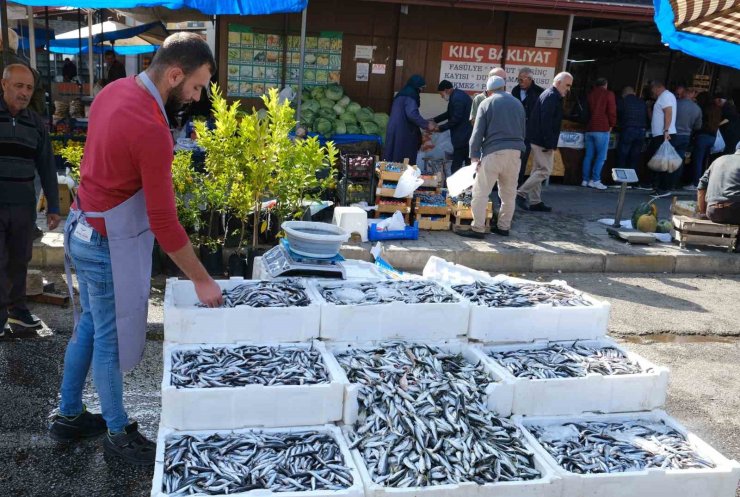 Erzincan’da tezgahlarda hamsi bolluğu