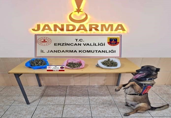 Erzincan’da jandarma ekipleri suça geçit vermiyor