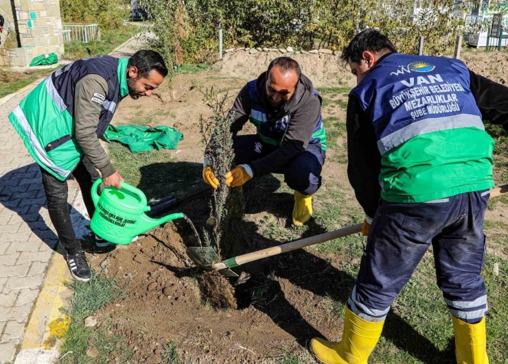 Van’daki 13 mezarlık alanına 3 bin 400 ağacın dikimine başlandı