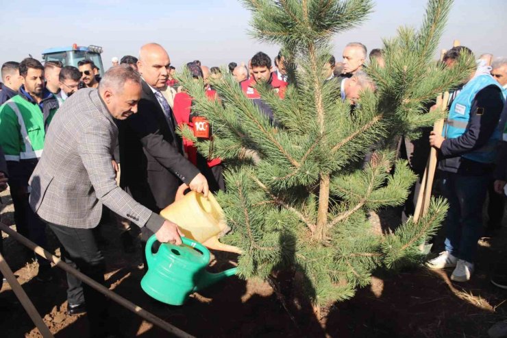 Ağrı’da fidanlar toprakla buluştu